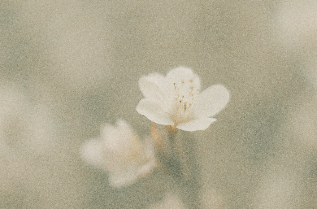 Why Your Nervous System Feels Fried (And How Inner Bloom Helps You Heal, Gently)