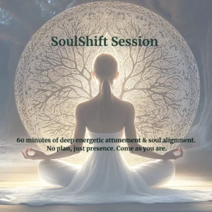 SoulShift Session — 60 mins